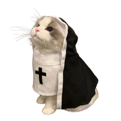 Pet Nun Costume