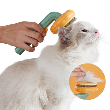 Pet Pumpkin Brush