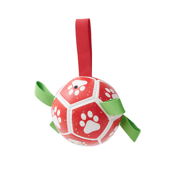 Dog Soccer Toy