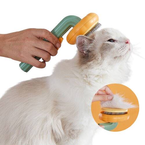 Pet Pumpkin Brush