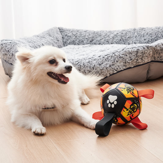 Dog Soccer Toy