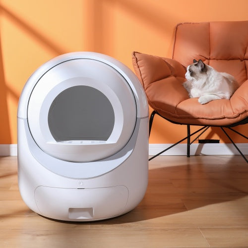 Smart Litter Box