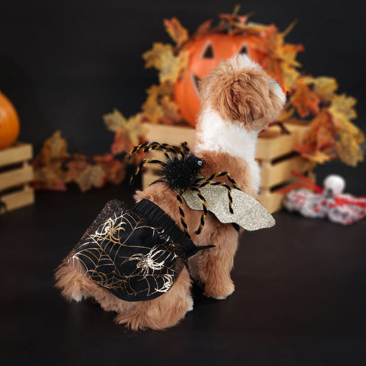 Halloween Dog Suit