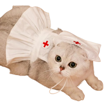 Fashionable Cat Dress