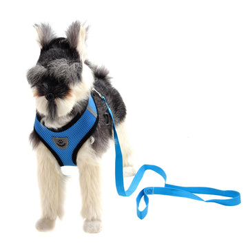 Comfort Mesh Harness
