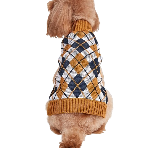 Thanksgiving Pet Outfit