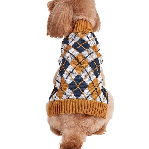 Thanksgiving Pet Outfit