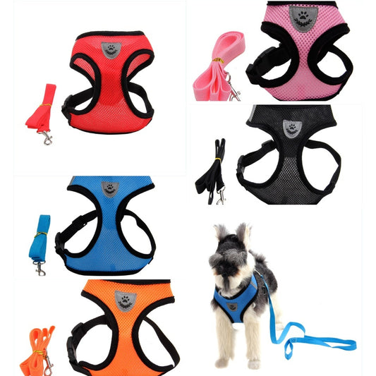 Comfort Mesh Harness