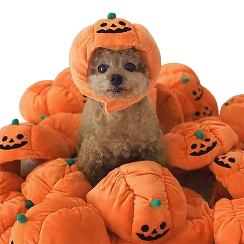 Pet Pumpkin Hat